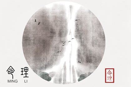 寡宿 月柱|寡宿在月柱是什么意思